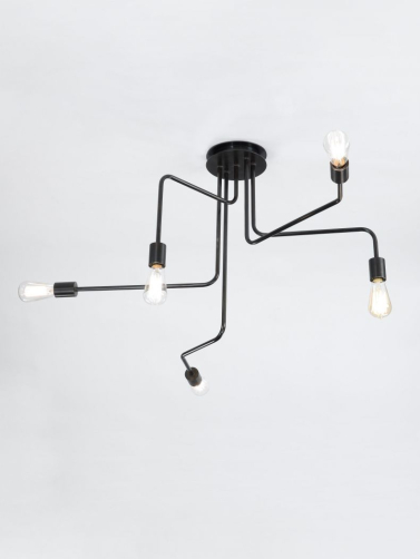 5 Arm Ceiling Mounted Light by Seth Stein