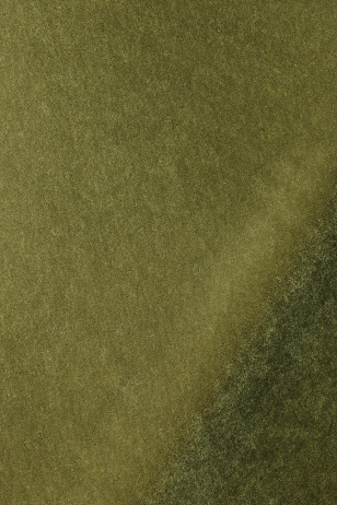 Mohair Velvet in Linden