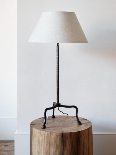 Hoof Table Lamp